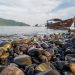 Spectacular Fishing Trips for Anglers and the General Public