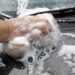 TOP 3 Car Detailing & Car Washing Tips To Keep Your Vehicle Looking Like New